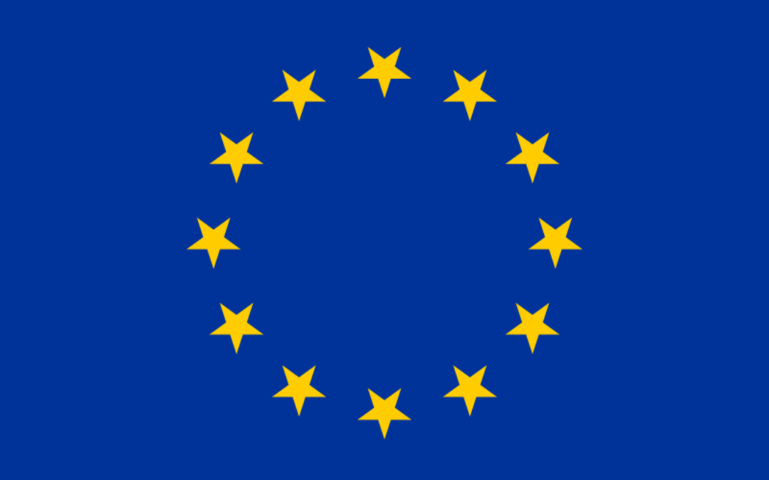 Lettre ouverte aux Chefs d’Etats et Représentants des Etats Membres sur le Futur du programme “L’Europe des citoyens”