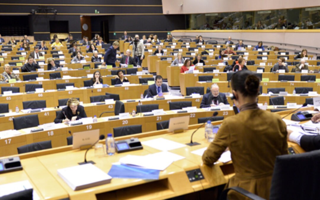 UPDATE – CSOs call upon EPP to review its candidate for Vice-Chair of LIBE Committee