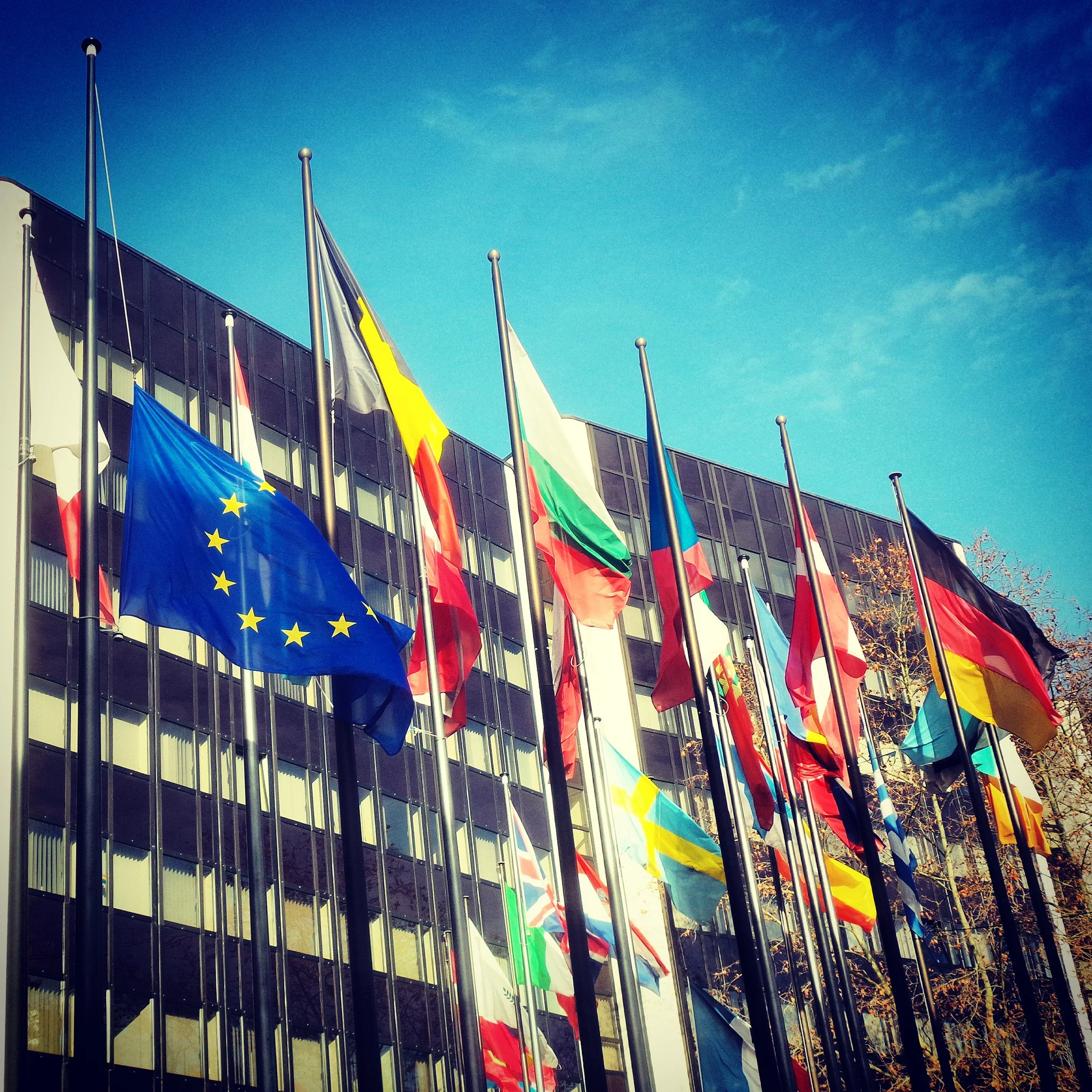 flag