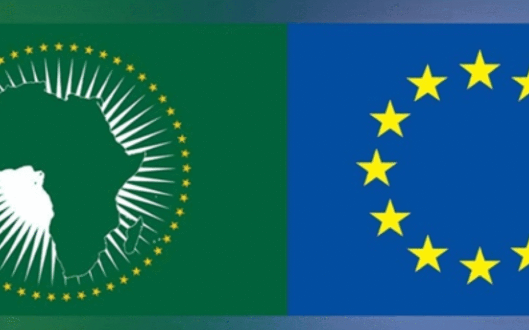 European Movement Italy: An innovative partnership between Europe and Africa is needed