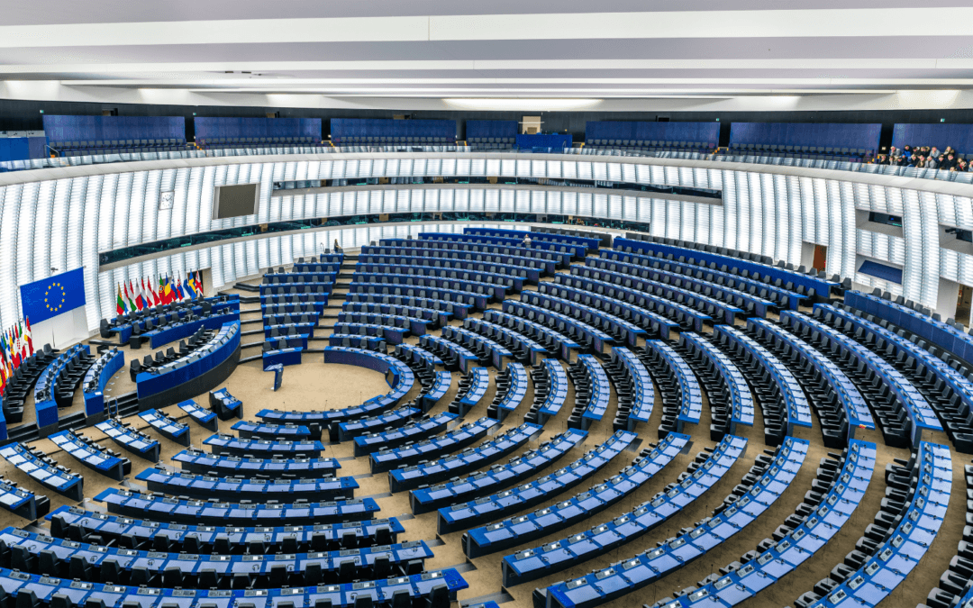 European Movement Italy: Europeans at the polls