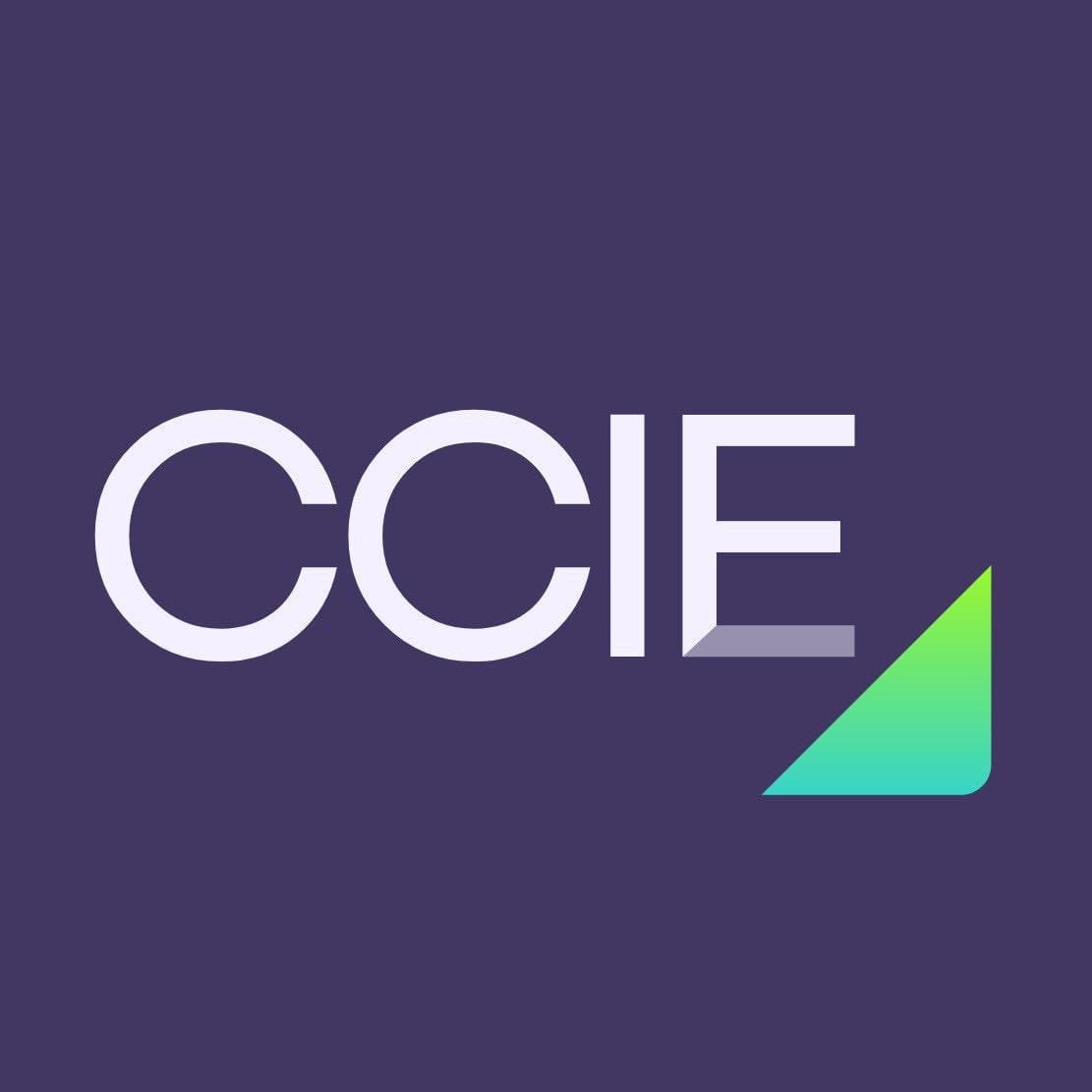 by <a href="https://civic-forum.eu/author/collective-against-islamophobia-in-europe-ccie" target="_self">Collective Against Islamophobia in Europe (CCIE)</a>